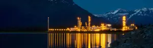 Petrolio, gas e prodotti petrolchimici