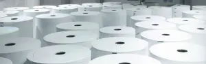 Papier- und Zellstoffindustrie